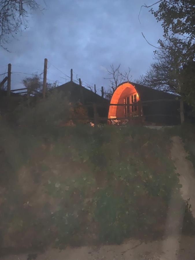 Gallas Pod House Vouzela Eksteriør billede