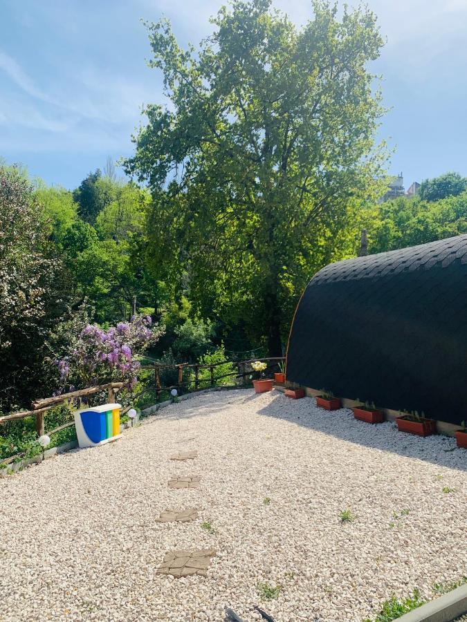 Gallas Pod House Vouzela Eksteriør billede